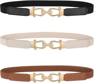 JASGOOD Women Skinny Elastic Belt for Dresses,Thin Retro Stretch Waist Belt with Golden Buckle